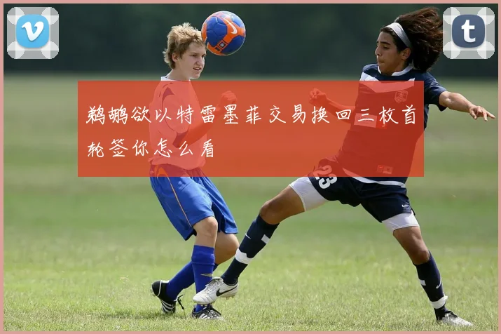 鹈鹕欲以特雷墨菲交易换回三枚首轮签你怎么看