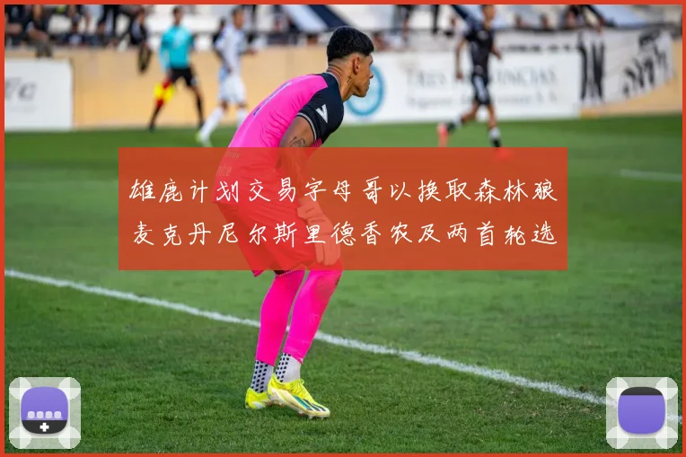 雄鹿计划交易字母哥以换取森林狼麦克丹尼尔斯里德香农及两首轮选秀权